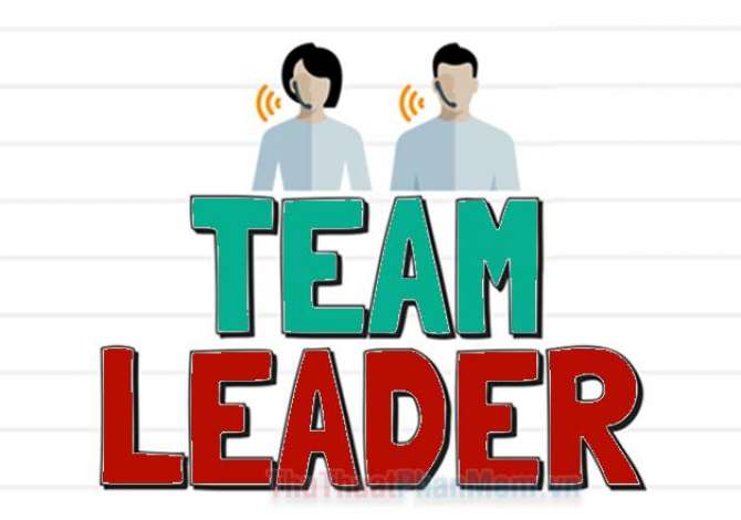 Njoftime Pune Team Leader 