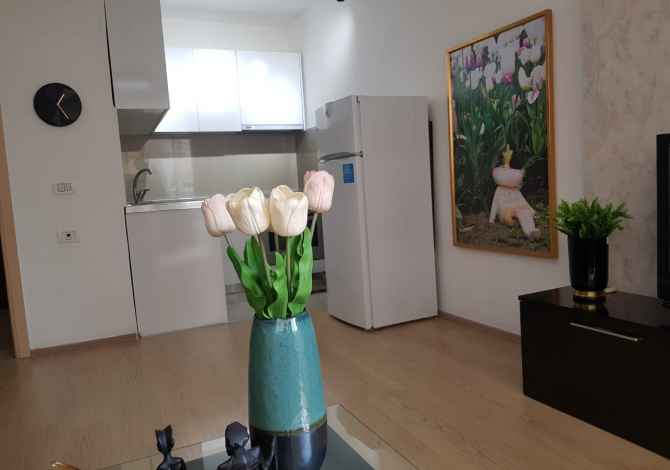 Shtepi ne shitje 2+1 ne Tirane - 80,000 Euro