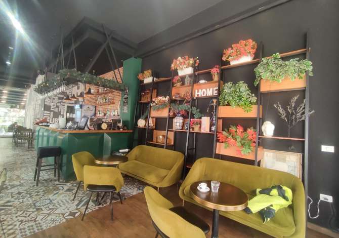 Business Property for Rent 2+1 in Tirana - 1,000 Euro