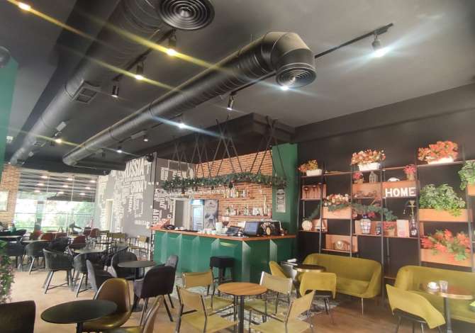 Business Property for Rent 2+1 in Tirana - 1,000 Euro