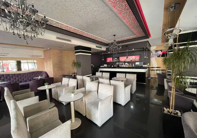 Business Property for Rent 2+1 in Tirana - 1,500 Euro