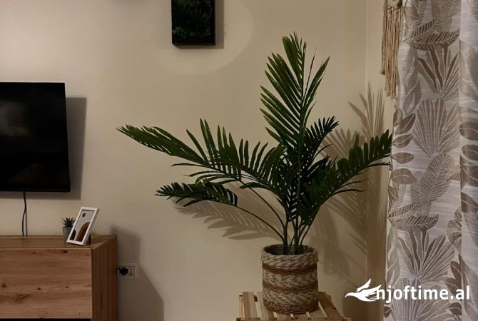 Shtepi me qera Apartament ne Tirane, 2+1, Mobilimi E mobiluar, Pagesa 65,000  Leke.