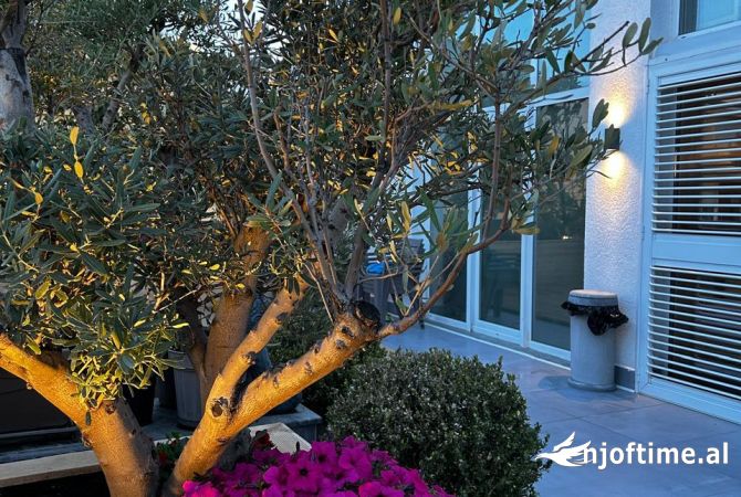 Shtepi me qera Penthose(kati i fundit panoramik) ne Tirane, 3+1, Mobilimi E mobiluar, Pagesa 3,000  Euro.