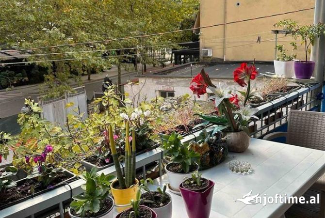 Shtepi ne shitje Apartament ne Tirane, 1+1, Mobilimi E mobiluar, Pagesa 100,000  Euro.