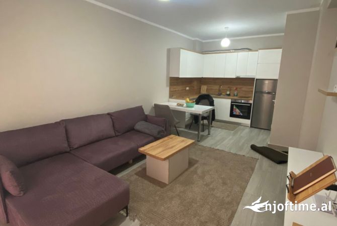 Shtepi me qera 1+1 ne Tirane - 450 Euro
