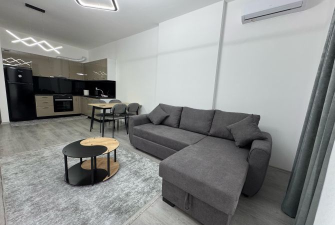 Shtepi me qera Apartament ne Tirane, 1+1, Mobilimi E mobiluar, Pagesa 300  Euro.