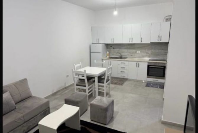 Shtepi me qera Apartament ne Tirane, 1+1, Mobilimi E mobiluar, Pagesa 550  Euro.