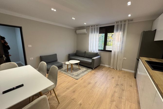 Shtepi me qera Shtepi Private ne Tirane, 1+1, Mobilimi E mobiluar, Pagesa 600  Euro.