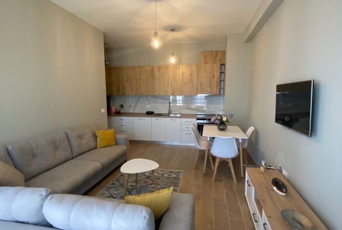 Shtepi me qera 1+1 ne Tirane - 650 Euro