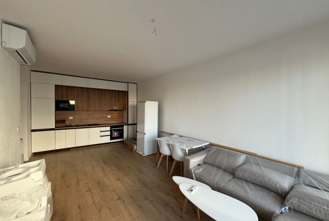 Shtepi me qera Apartament ne Tirane, 1+1, Mobilimi E mobiluar, Pagesa 650  Euro.