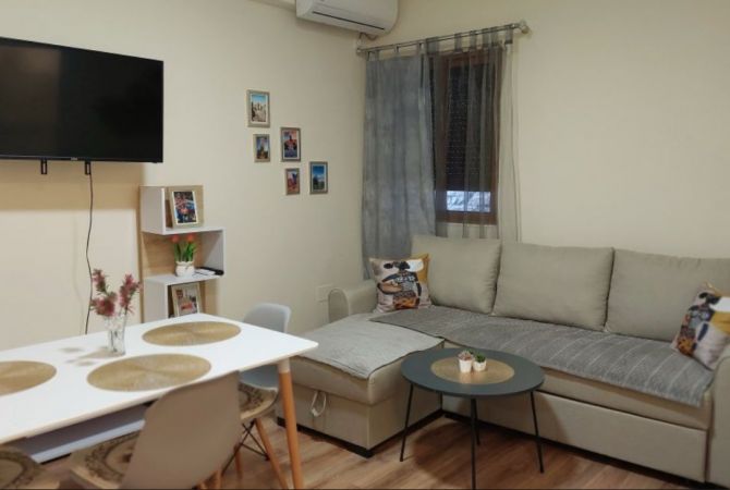 Shtepi me qera Apartament ne Tirane, 1+1, Mobilimi E mobiluar, Pagesa 600  Euro.