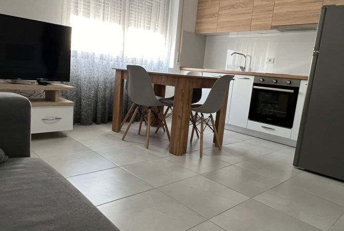 Shtepi me qera 1+1 ne Tirane - 450 Euro