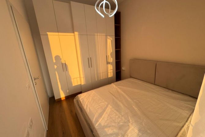 Shtepi me qera Apartament ne Tirane, 1+1, Mobilimi E mobiluar, Pagesa 450  Euro.