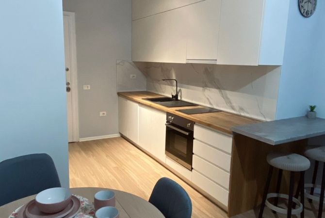 Shtepi me qera Apartament ne Tirane, 1+1, Mobilimi E mobiluar, Pagesa 550  Euro.