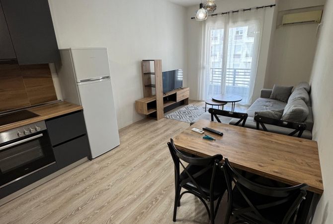 Shtepi me qera Apartament ne Tirane, 2+1, Mobilimi E mobiluar, Pagesa 600  Euro.