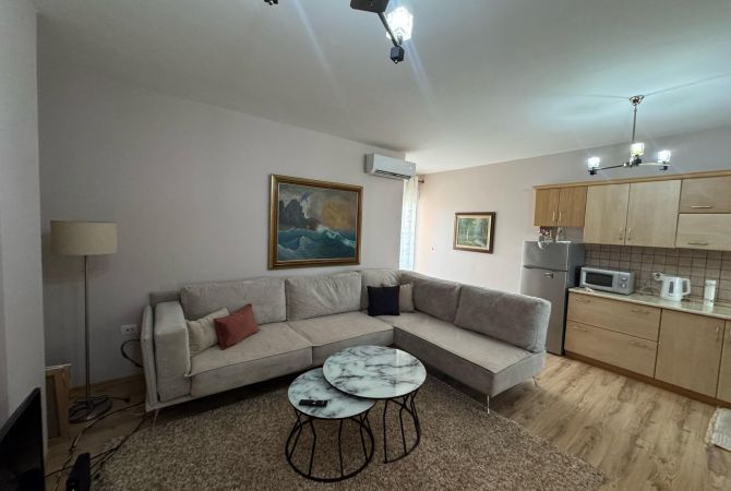 Shtepi me qera Apartament ne Tirane, 1+1, Mobilimi E mobiluar, Pagesa 600  Euro.