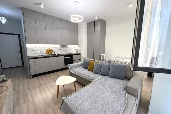Shtepi me qera Apartament ne Tirane, 1+1, Mobilimi E mobiluar, Pagesa 650  Euro.