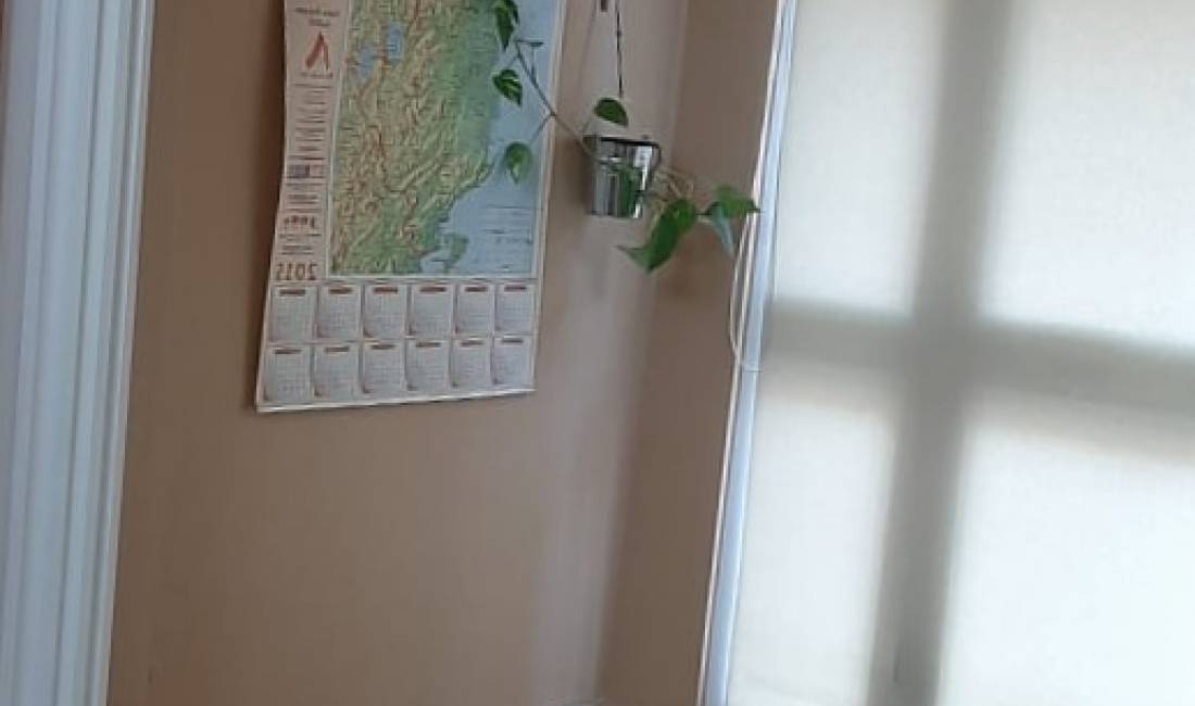 Foto 1