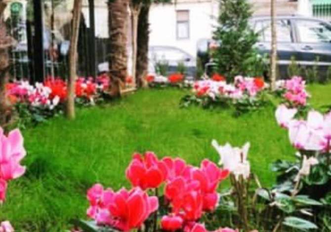 Njoftime Pune ne Tirane, Profesioni Banakiere , , Pagesa 35,000  Leke.