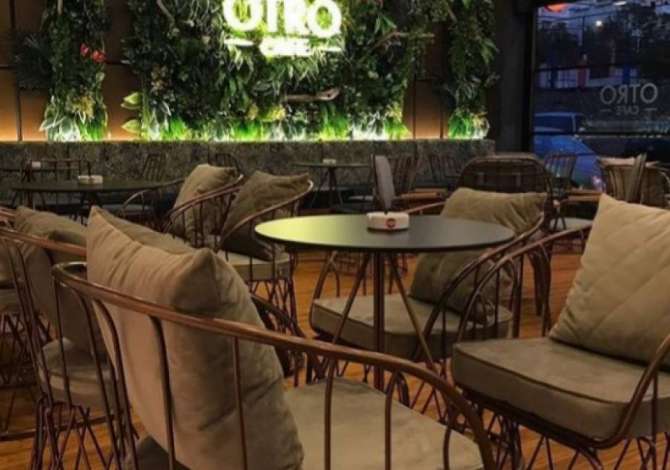 Njoftime Pune ne Tirane, Profesioni Kamarier/e, Banakier/e , , Pagesa Me Marreveshje.