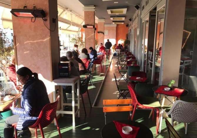 Ambient biznesi me qera 2+1 ne Tirane - 1,300 Euro