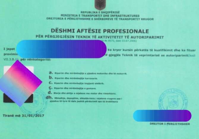 Professional Services a Durazzo - 10,000 Leke