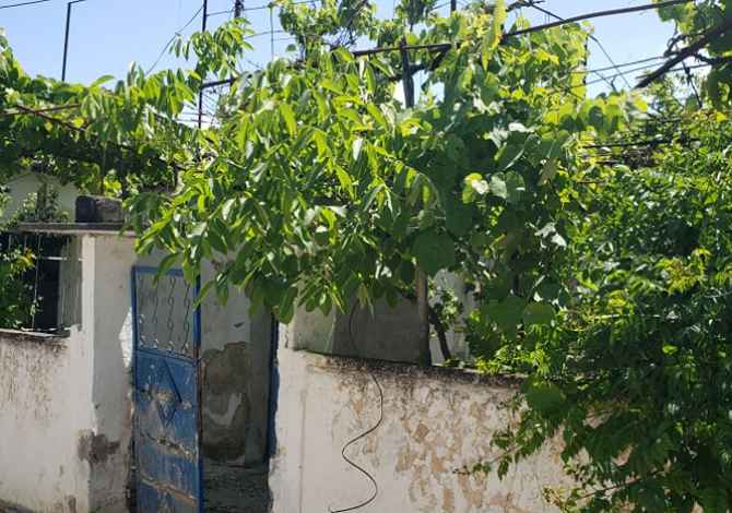 Truall ose Toke ne Durres - 62,000 Euro