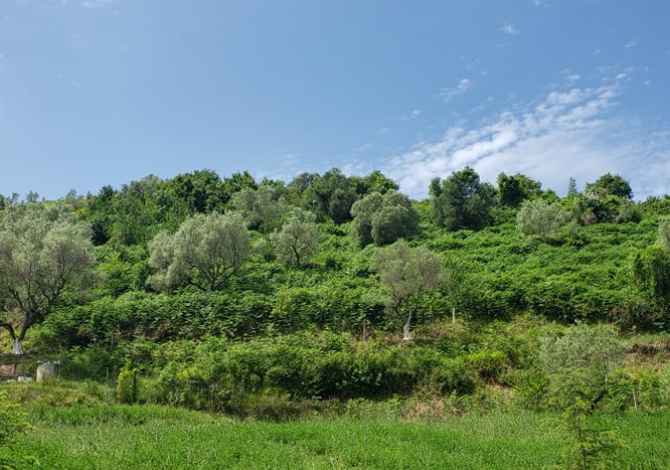 Truall ose Toke ne Durres - 85,000 Euro