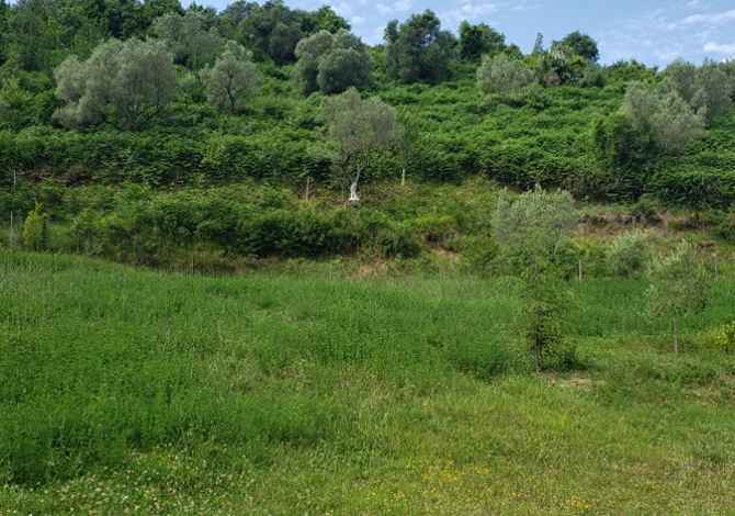 Truall ose Toke ne Durres - 85,000 Euro