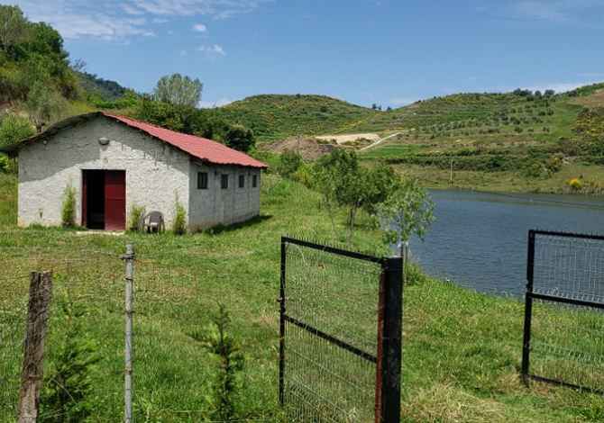 Truall ose Toke ne Durres - 85,000 Euro