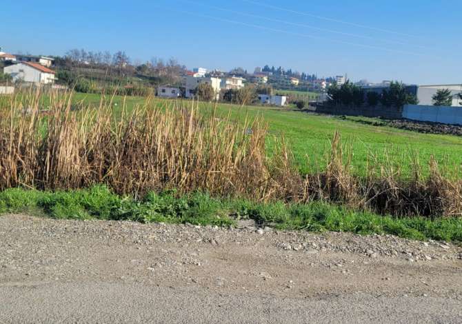 Shitet Toke prane Shenavlash, Durres