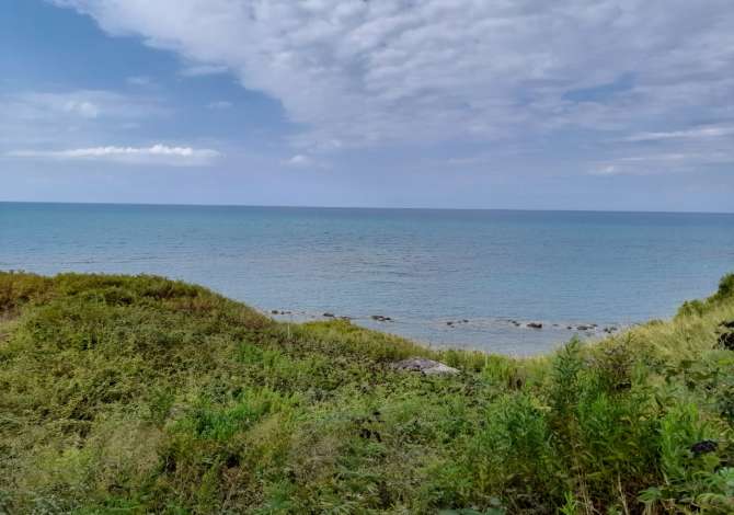 SHITET TOKE NE BREGDET, KALLM DURRES