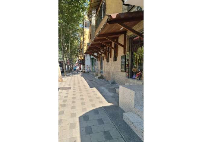 Ambient biznesi me qera 3+1 ne Tirane - 1,000 Euro