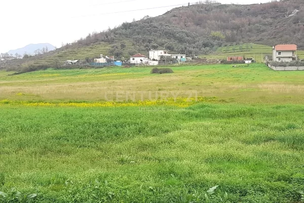 Truall ose Toke  ne Tirane - 2,010,000 Euro