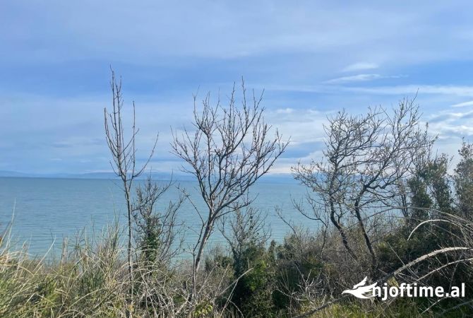 Truall ose Toke  ne Durres - 730,000 Euro