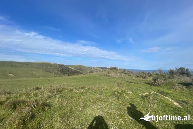 Shitet Toke Ne Kep Te Rodonit