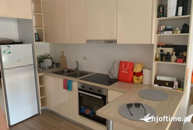 Shtepi me qera Apartament ne Tirane, 1+1, Mobilimi E mobiluar, Pagesa 550  Euro.