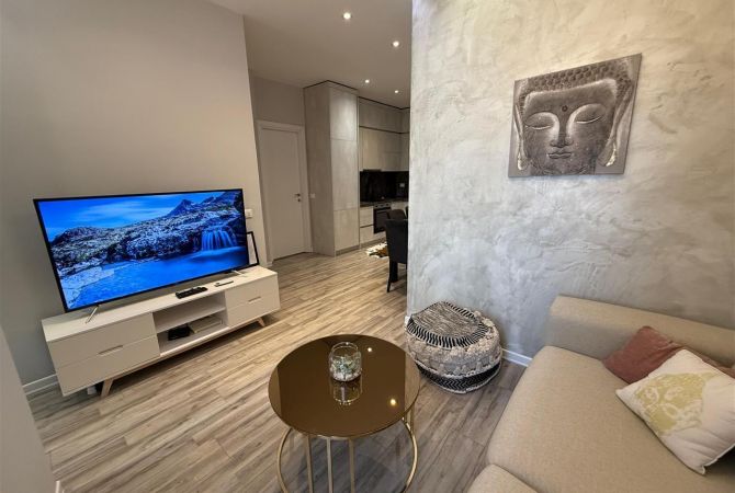 Shtepi me qera Apartament ne Tirane, 1+1, Mobilimi E mobiluar, Pagesa 700  Euro.