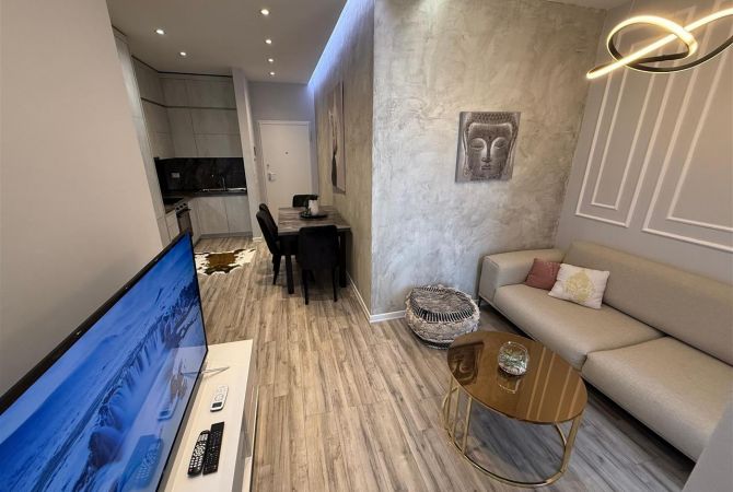 Shtepi me qera Apartament ne Tirane, 1+1, Mobilimi E mobiluar, Pagesa 700  Euro.