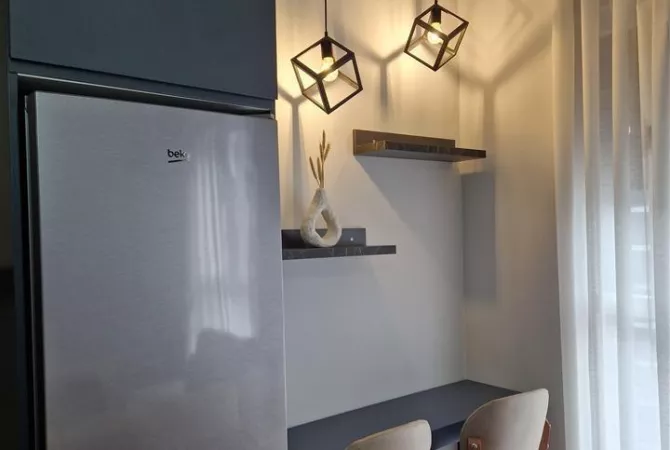 Shtepi me qera Apartament ne Tirane, 1+1, Mobilimi E mobiluar, Pagesa 600  Euro.