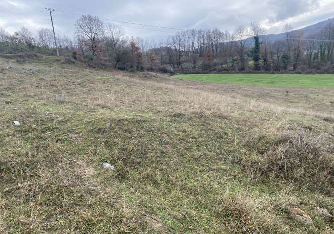 Truall ose Toke ne Tirane - 135,000 Euro