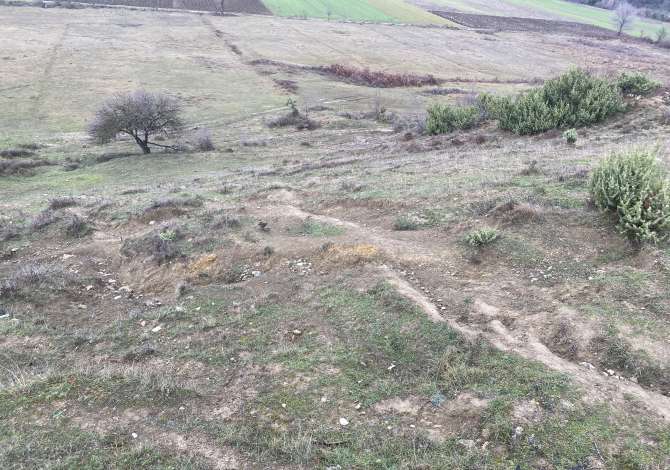 Truall ose Toke ne Tirane - 135,000 Euro
