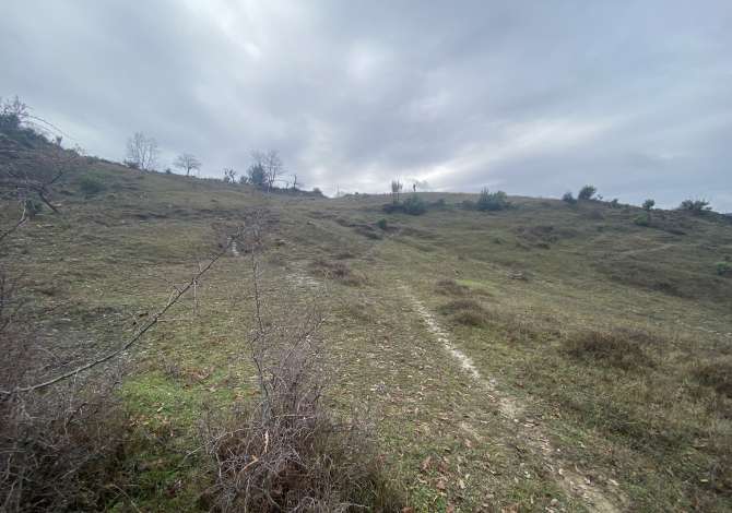 Truall ose Toke ne Tirane - 135,000 Euro