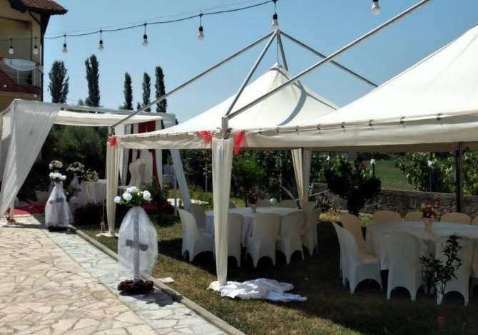 Holiday arrangements  in Lezha - 50 Leke