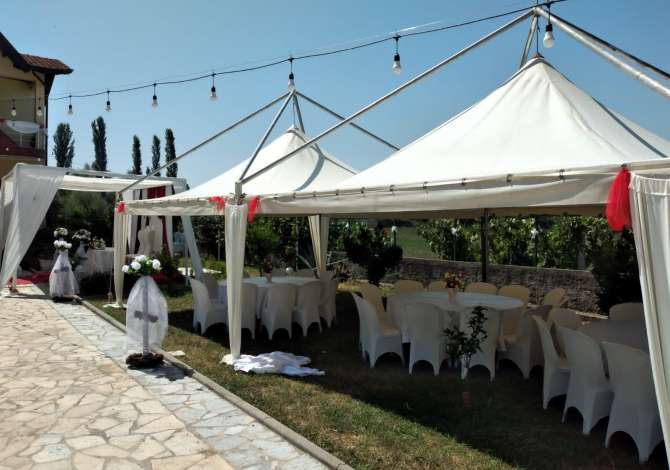 Holiday arrangements a Tirana - 20 Euro