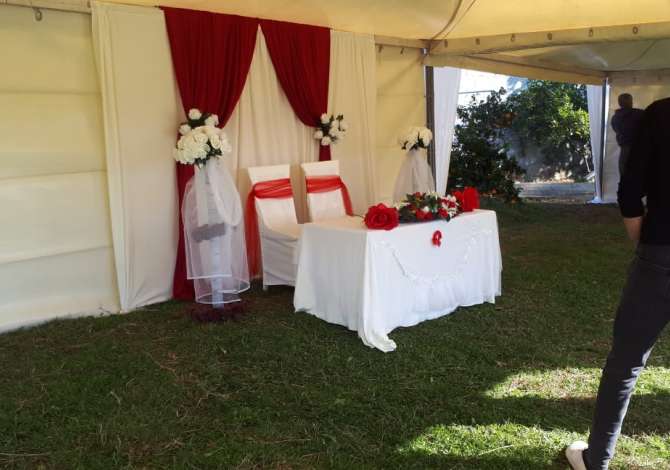 Holiday arrangements  in Tirana - 0 