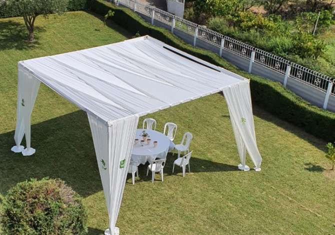 Professional Services  a Alessio - 20 Euro