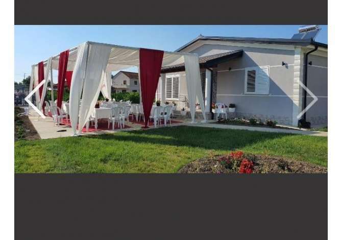 Professional Services a Alessio - 20 Euro