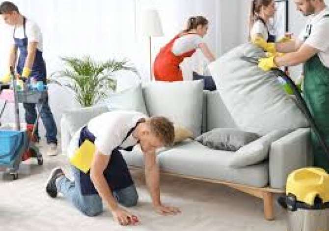 Professional Services  a Tirana - 1,000 Leke