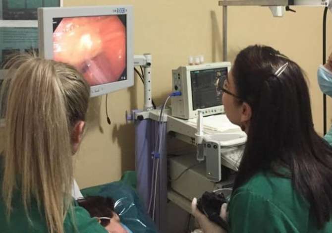 Klinika Endoskopike  kryen ekzaminime si : Endoskopi, Gjinekologji, Urologji dhe Ekografi